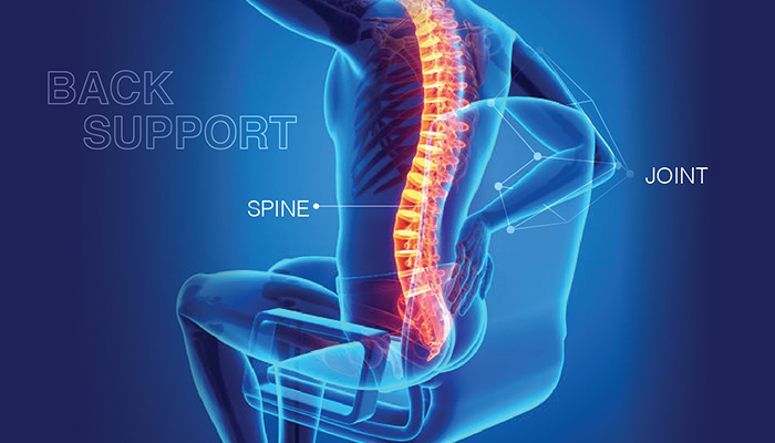 Top 5 Orthopedic Items for Back Support, Joint & Spine